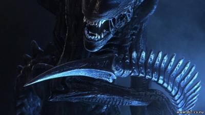 The Creative Assembly подбирают кадры для следующего проекта