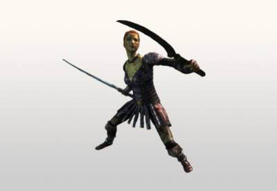 Новый DLC для Dragon Age: Origins