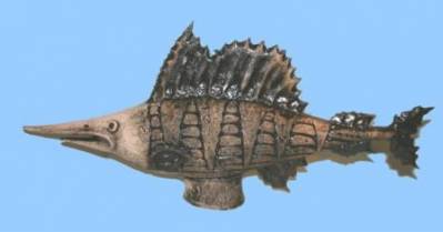 Самая быстрая рыба